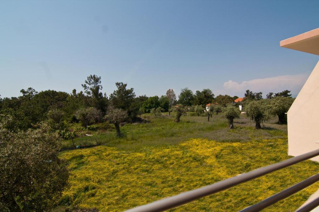 Studios Dimitraki Skala Rachoni  الغرفة الصورة